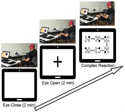 Sparsely Wiring Connectivity in the Upper Beta Band Characterizes the Brains of Top Swimming Athletes